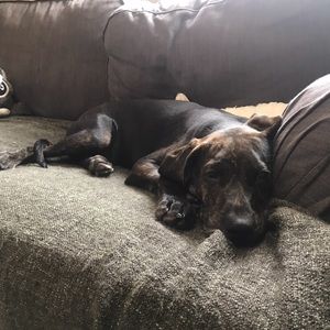 Meet your Posher, William